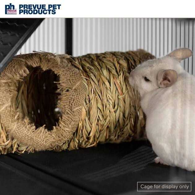 Grass Tunnel N586