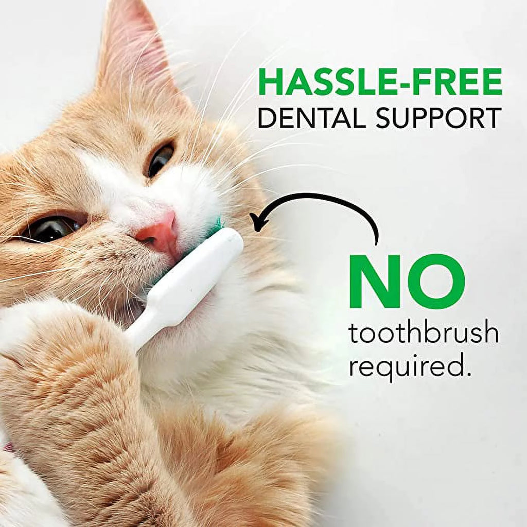 Dental Care Powder for Cats and Dogs 4.2 oz Z1711