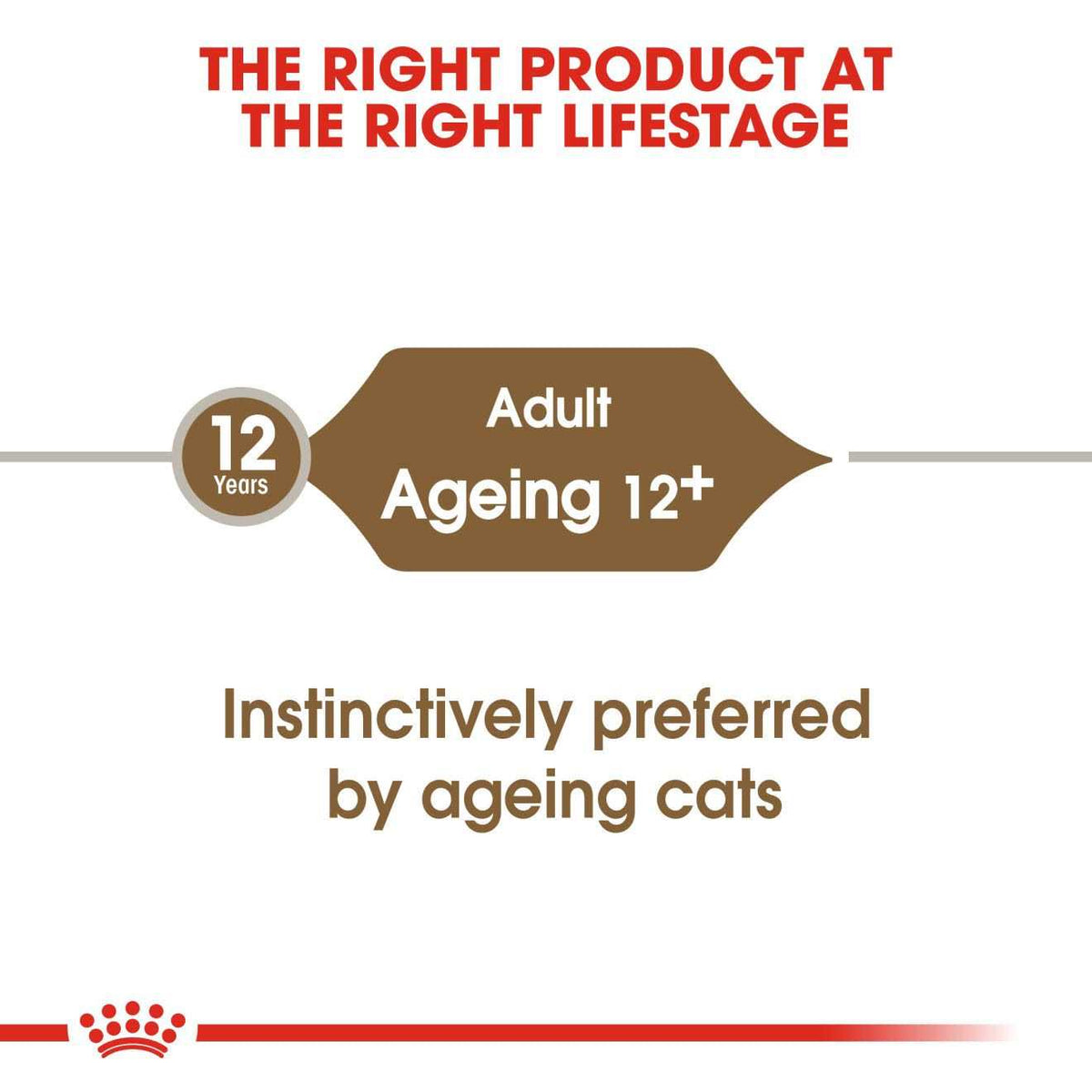 Aging 12+ Thin Slices in Gravy Canned Cat Food N37515