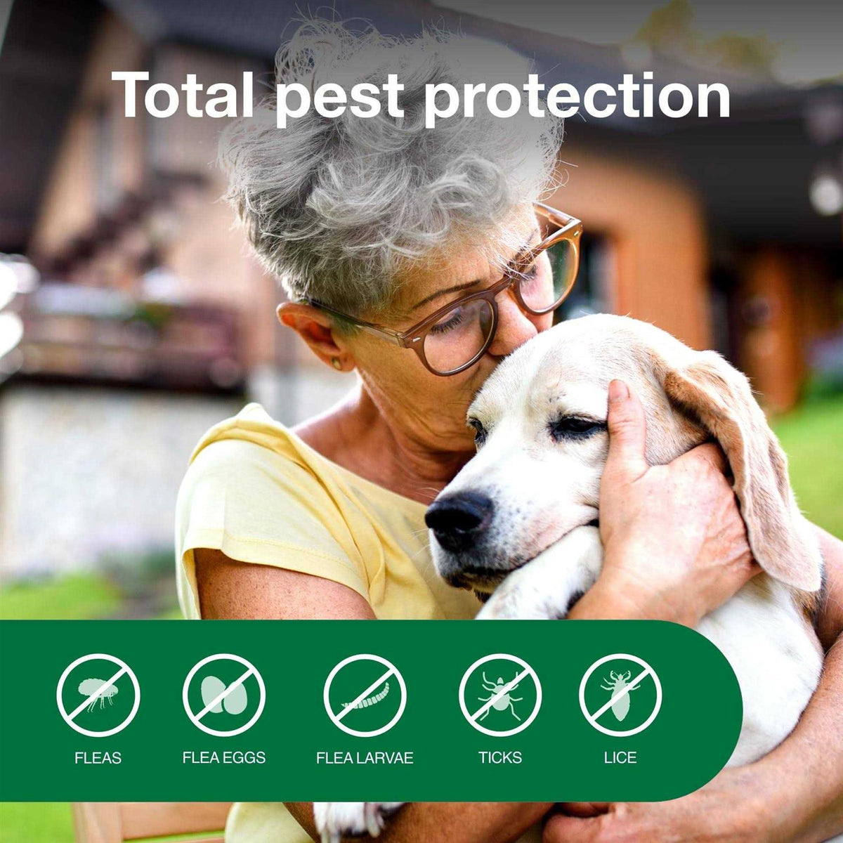 Flea & Tick Treatment Spray for Dogs X5718