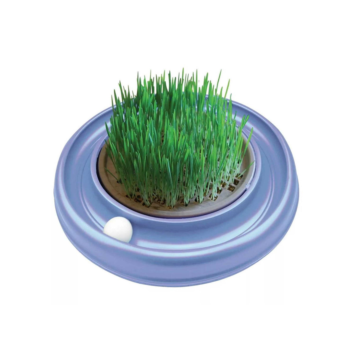 Cat Toy J986317