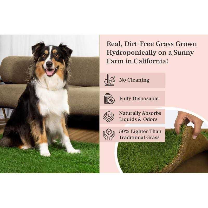 Real Grass Dog Potty T937