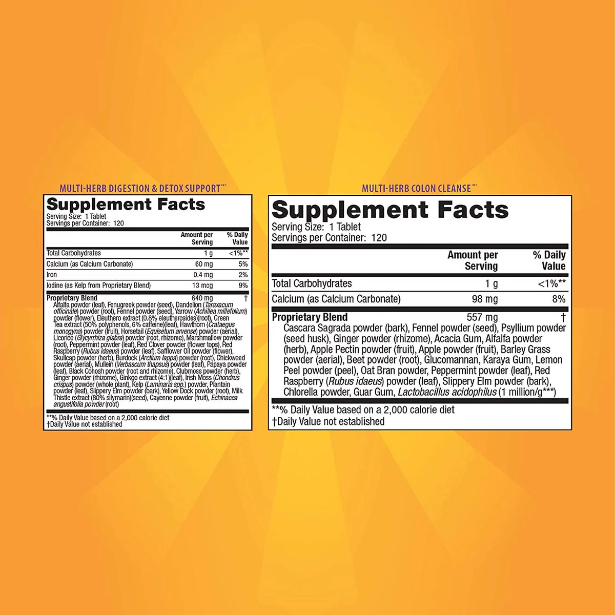 240 Tablets Total-Body Cleanse with Pill Case H74052