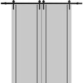 Double Barn Door 36 x 80 inches with Frosted Glass F55115
