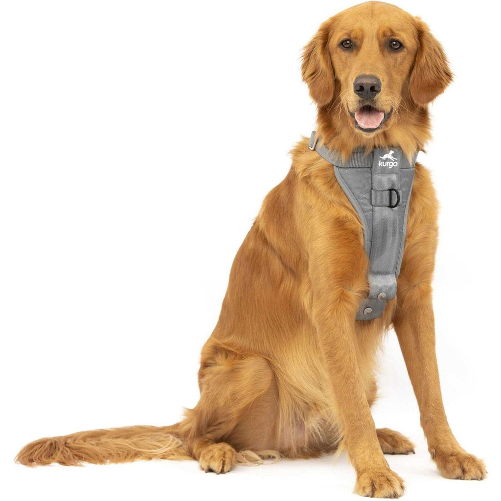 Dog Harness M2417