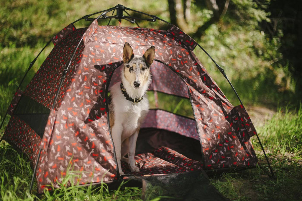 Outdoor Dog Tent - One Size J19543