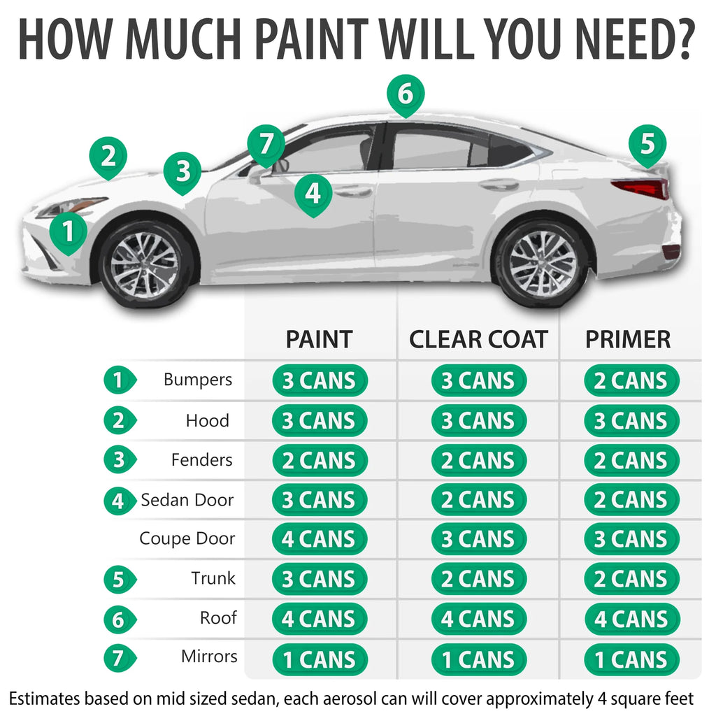 Automotive Touch Up Paint Spray Kit with Clearcoat C9674