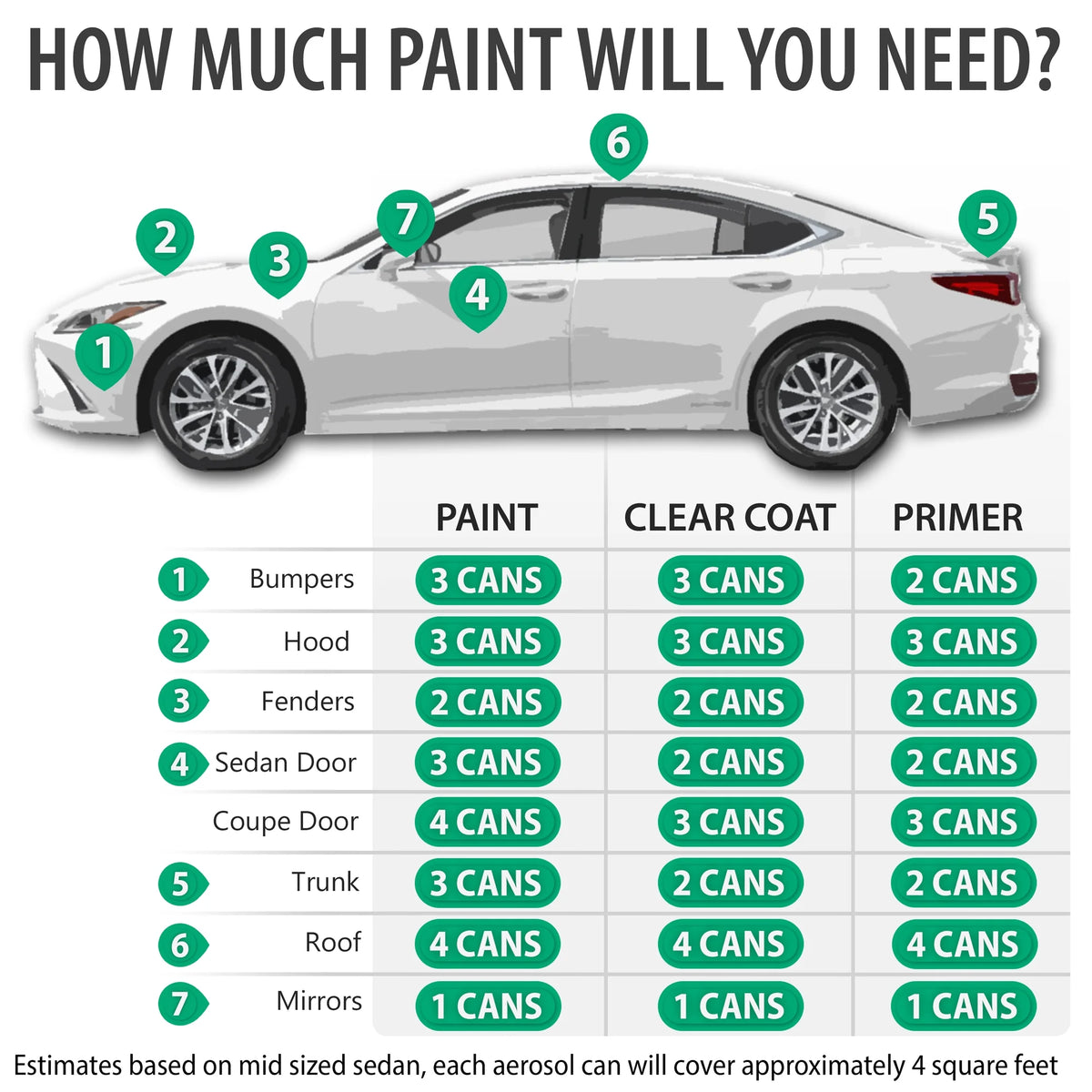 Automotive Touch Up Paint Spray Kit with Clearcoat C9674