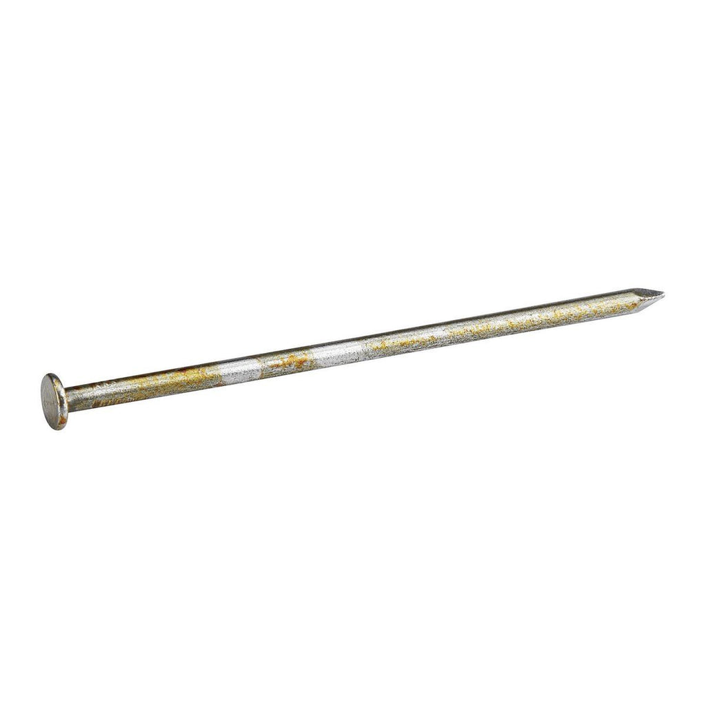 Bright Coated Framing Nails 2500 Pack Y1996