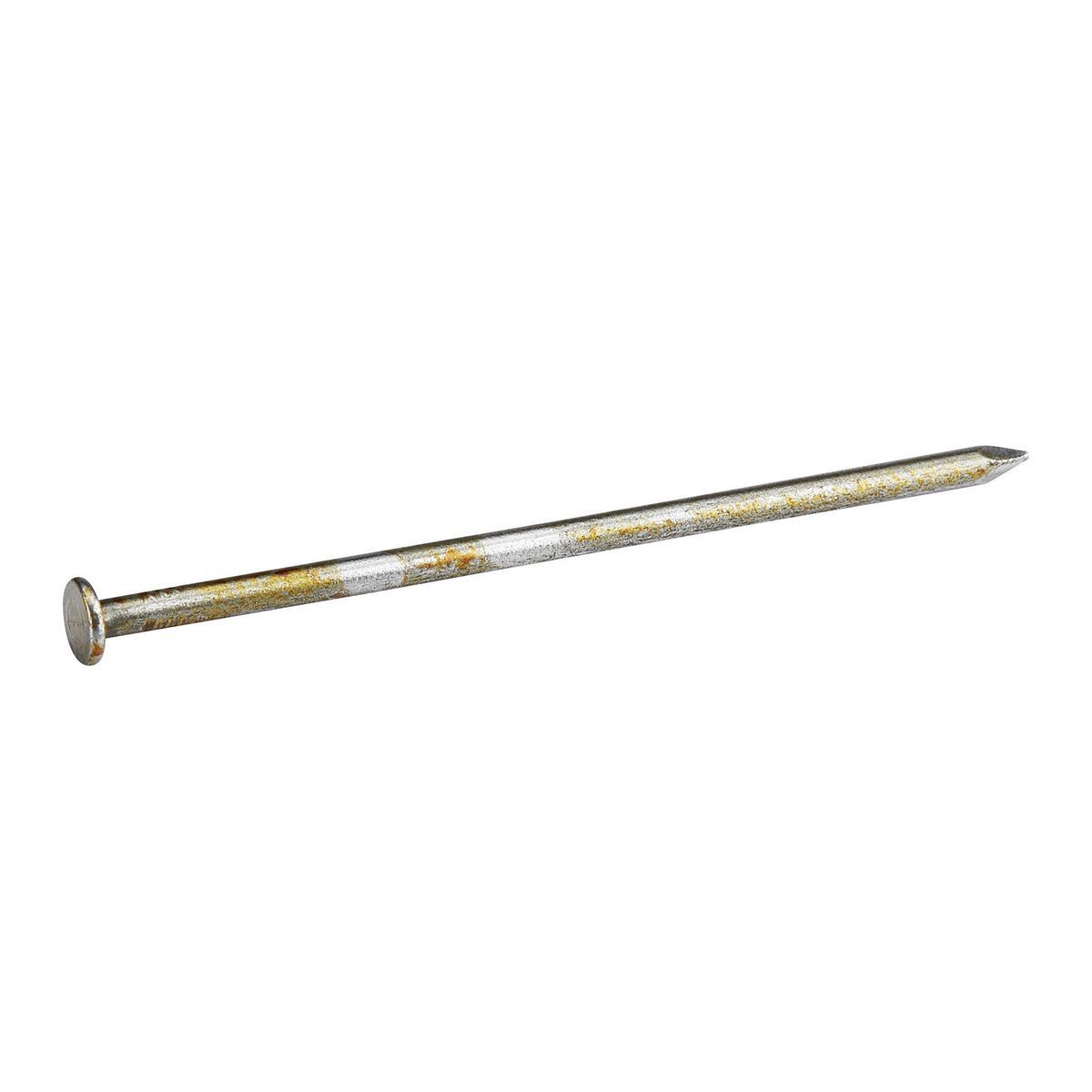 Bright Coated Framing Nails 2500 Pack Y1996
