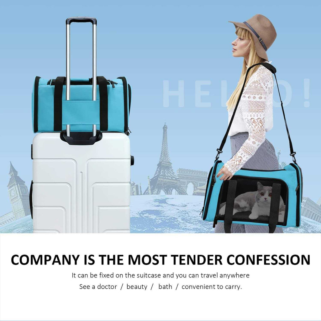 Cat Dog Pet Carrier for Small Medium Cats up to 15 Lbs U954389