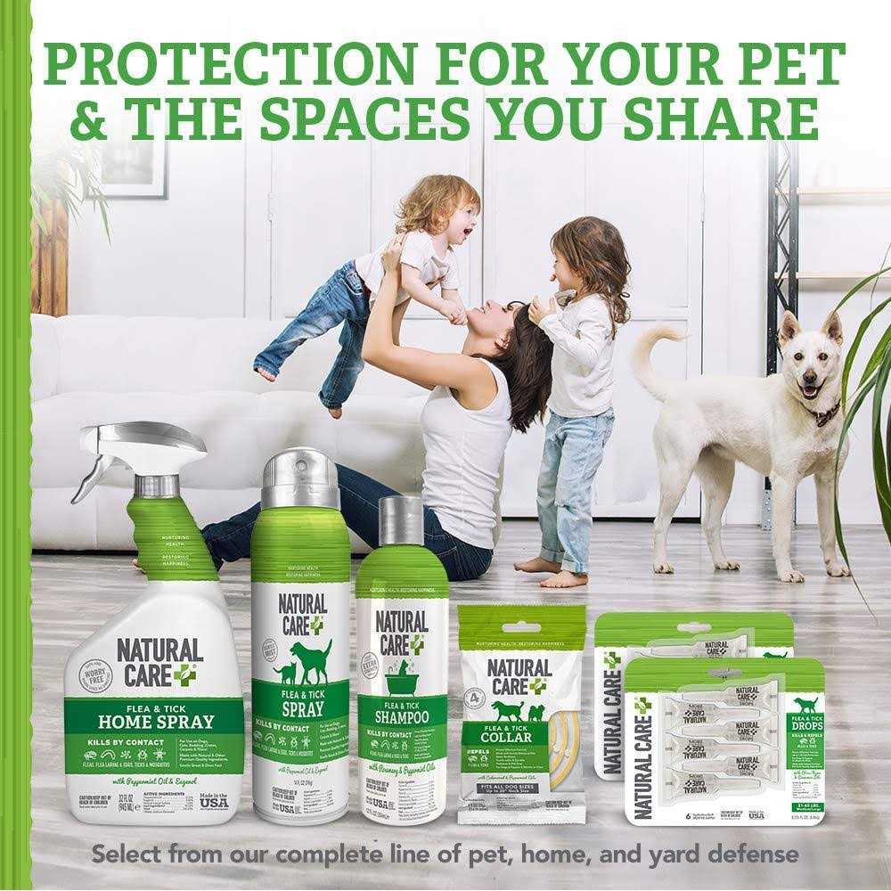 Shampoo Flea Tick I962360