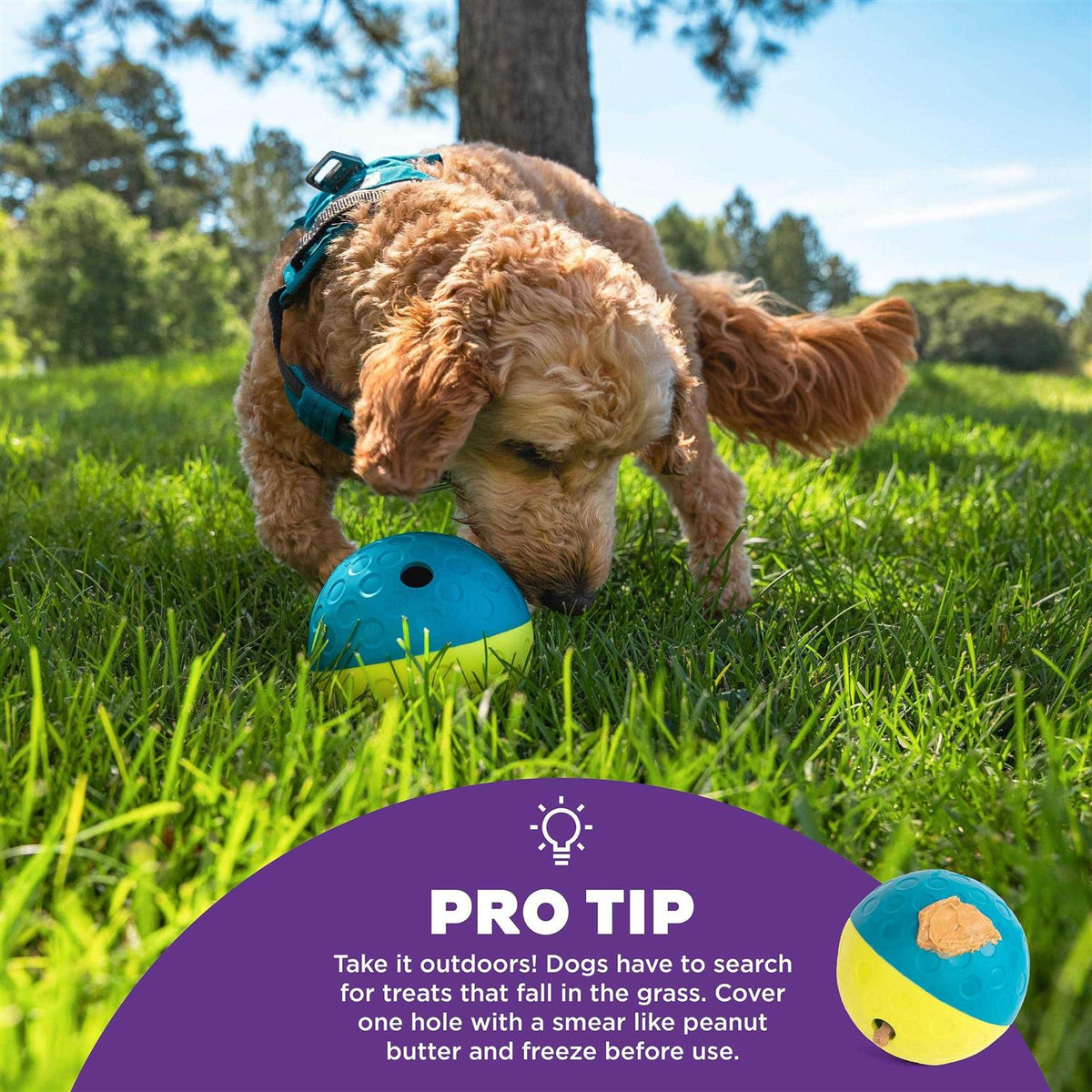 Treat Tumble Dog Toy F9407