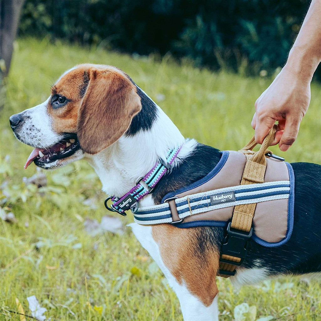 Reflective Dog Collar J855582