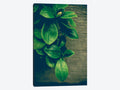 Canvas Prints S2132