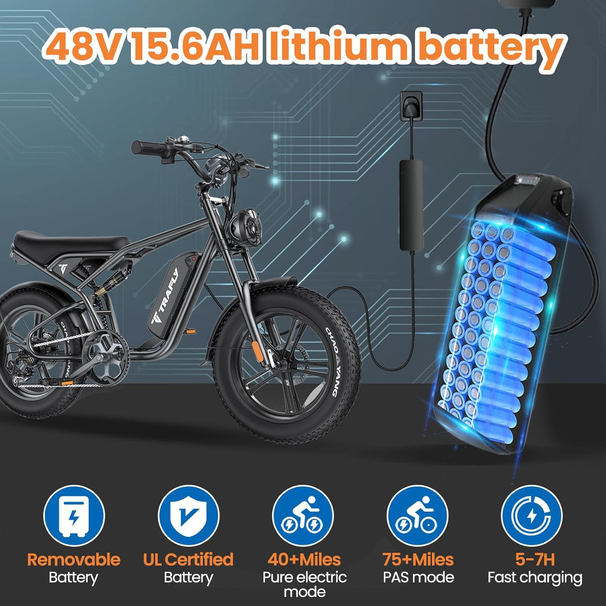 20" Fat Tire 48V 15.6AH Removable Battery Electric Bike U2128