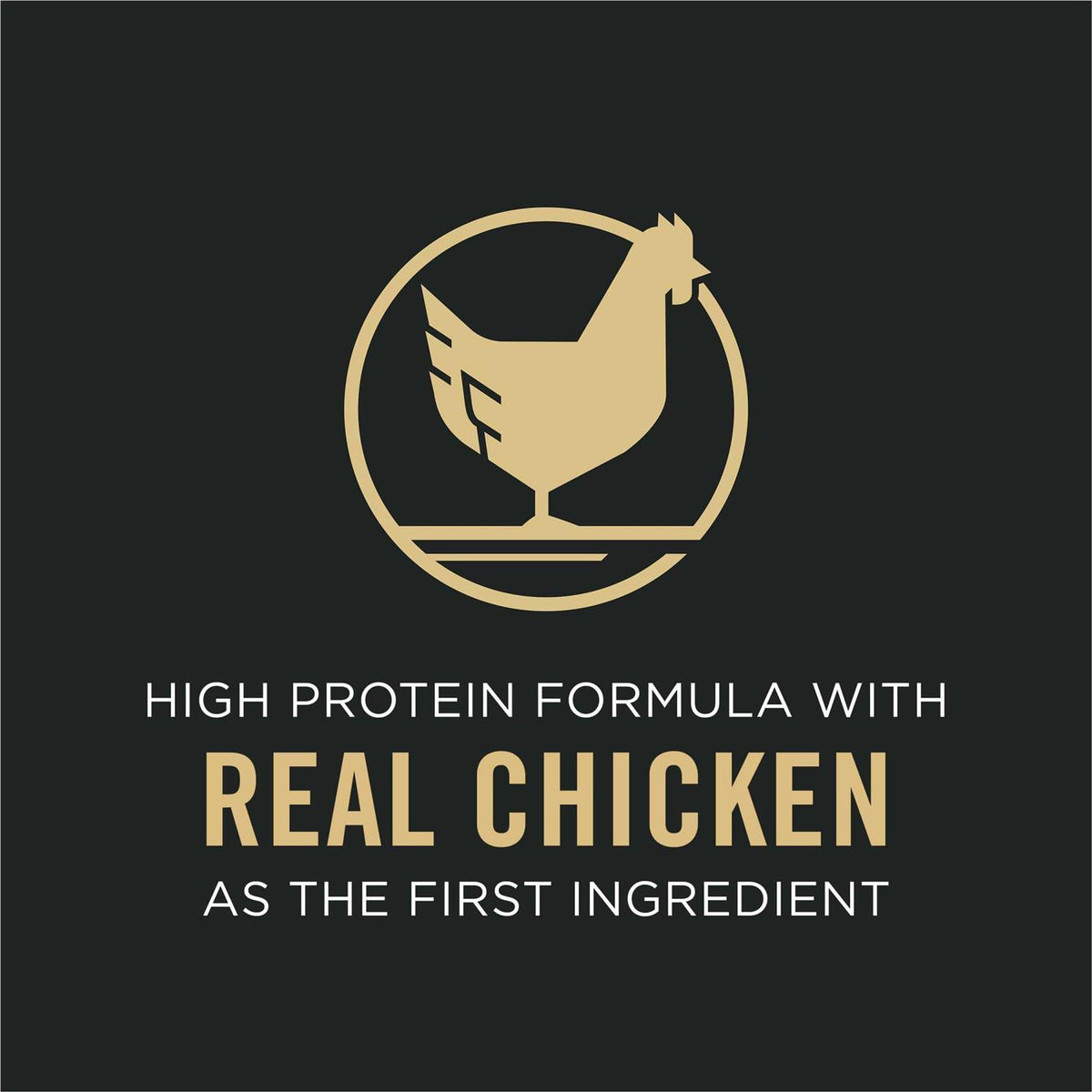 Chicken & Rice Dry Dog Food E354