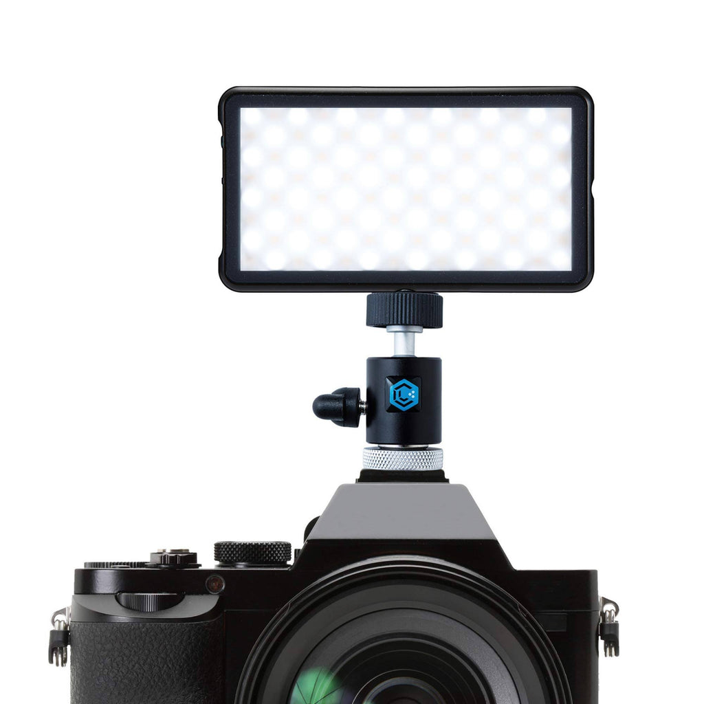 LED Light with Ball Head Camera Mount and Light Stand Adapter C925401