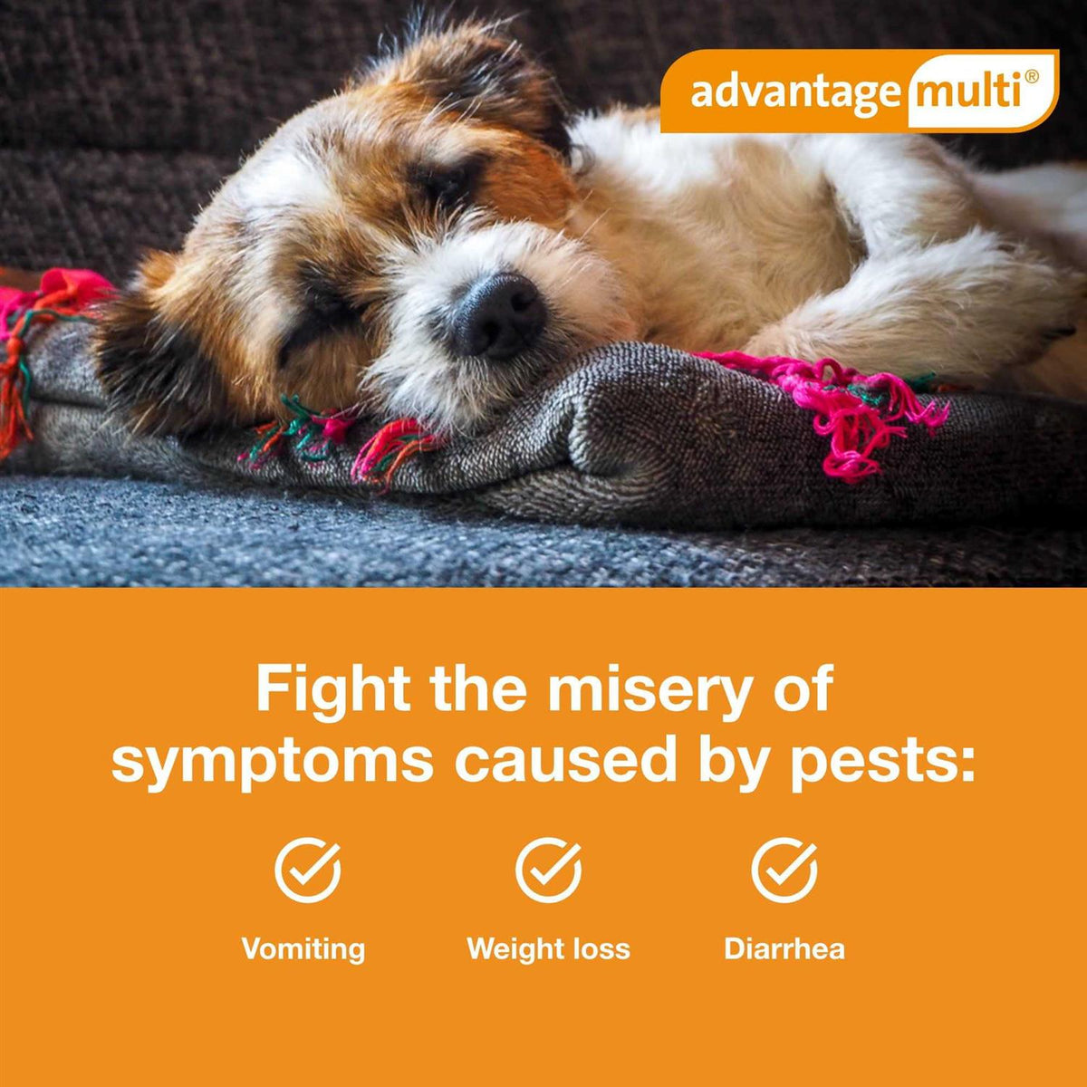 Advantage Multi for Dogs N14219