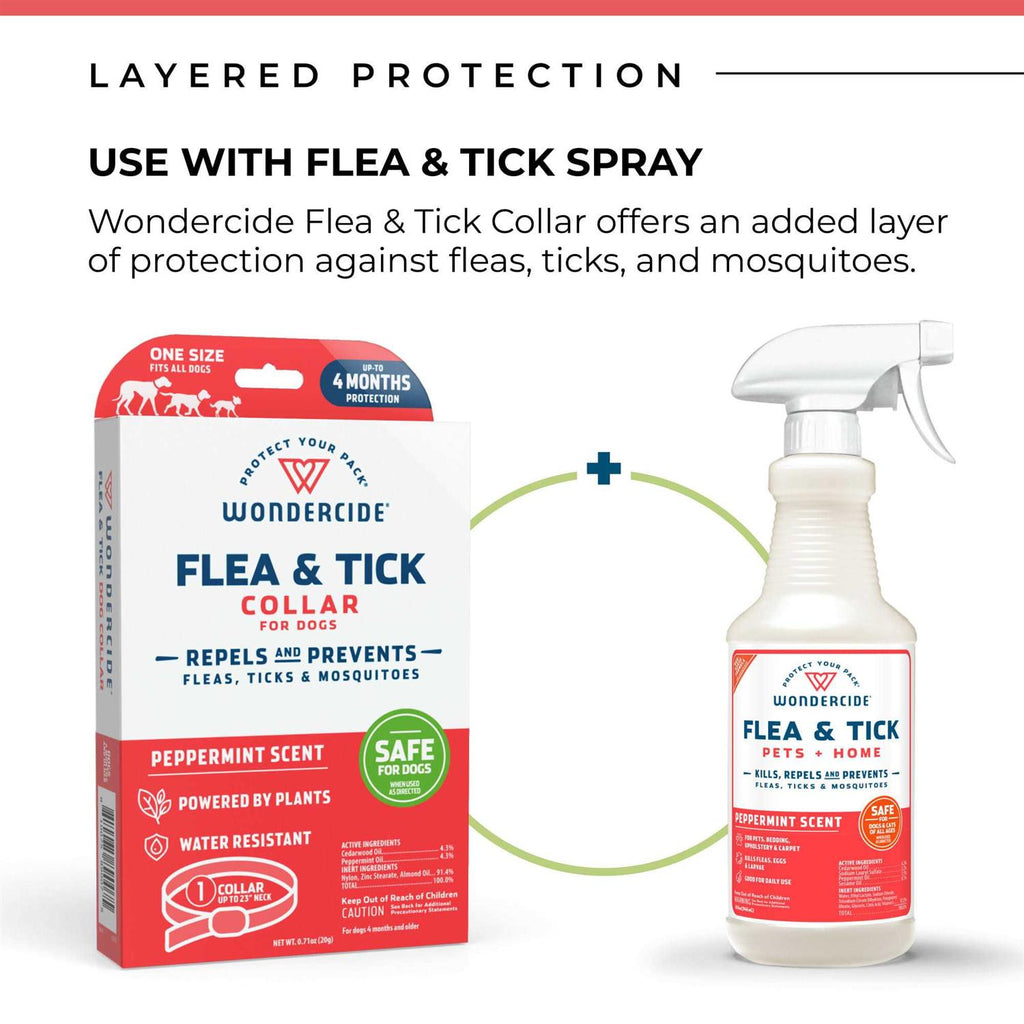 Flea & Tick Collar for Dogs D596254