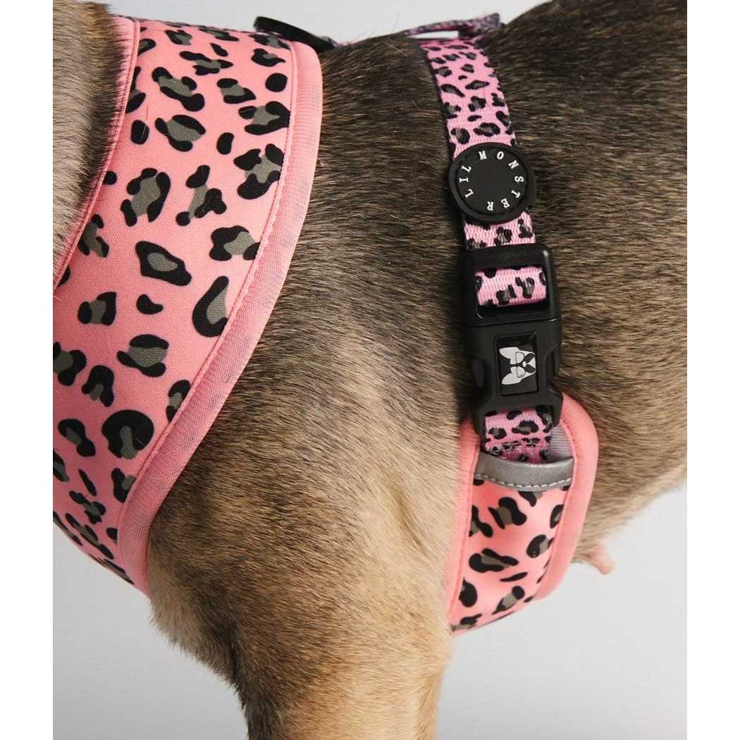 Reversible Neoprene Dog Harness Z49017