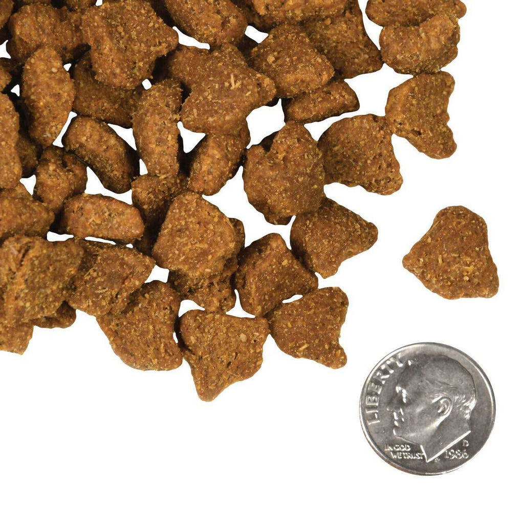 Dry Dog Food T84093