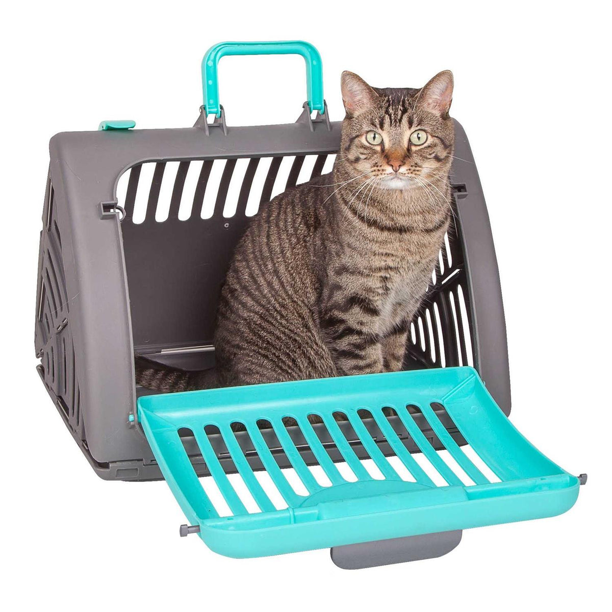 Foldable Travel Cat Carrier U924174