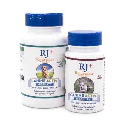 Canine Activ High Performance Pet Supplies O3856