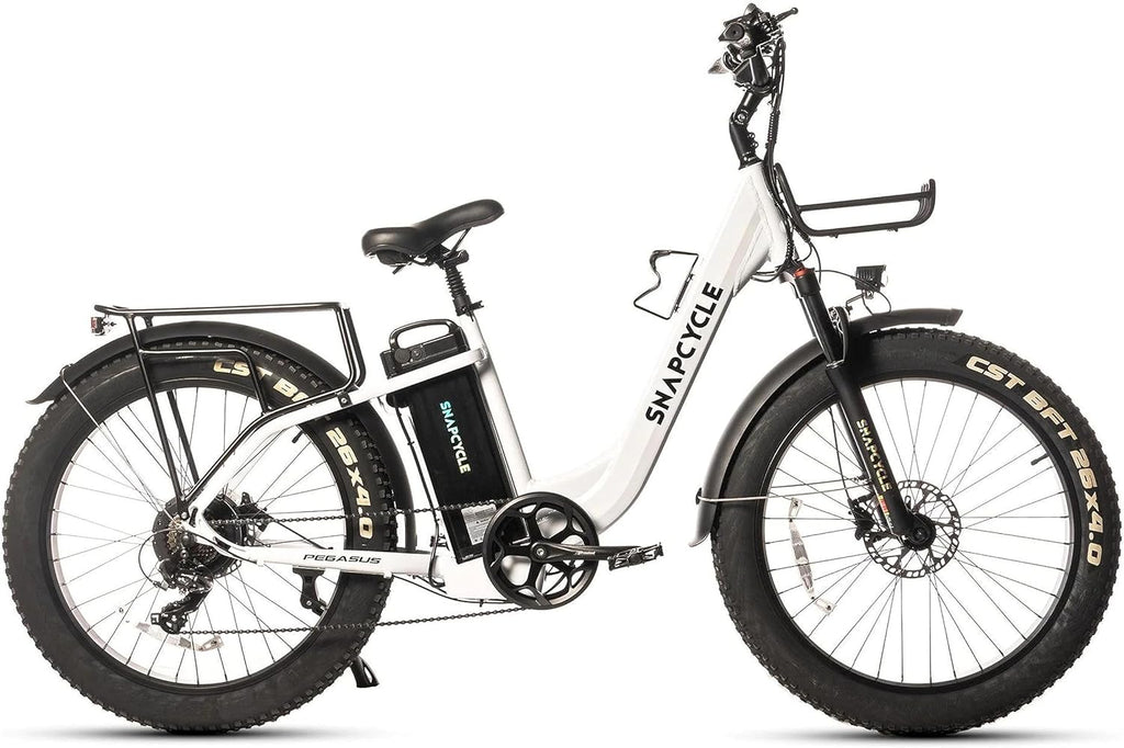 1000W Peak Motor 26" x 4.0 Fat Tire Step-Thru Ebike with 48V 15AH Removable Battery W7390