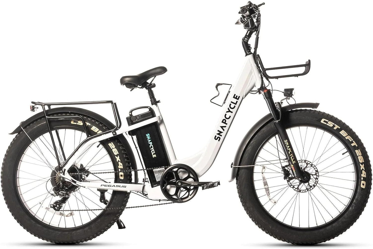 1000W Peak Motor 26" x 4.0 Fat Tire Step-Thru Ebike with 48V 15AH Removable Battery W7390