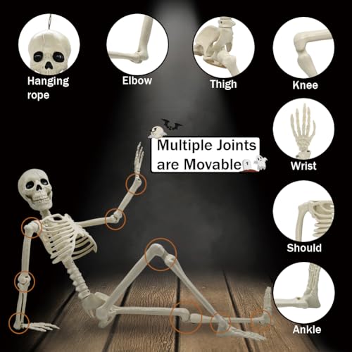 5.9FT Plastic Full Size Human Skeleton with Movable Joints X48046