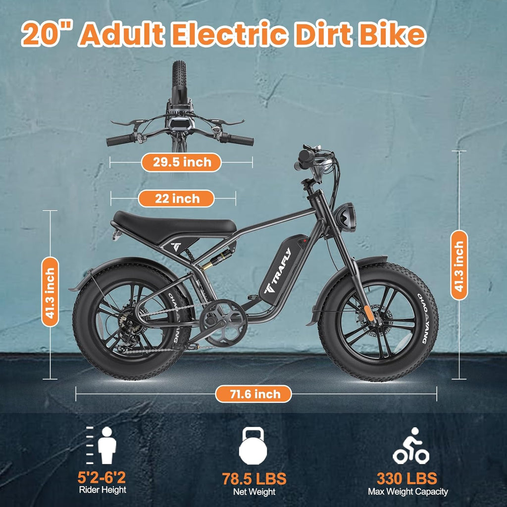20" Fat Tire 48V 15.6AH Removable Battery Electric Bike U2128