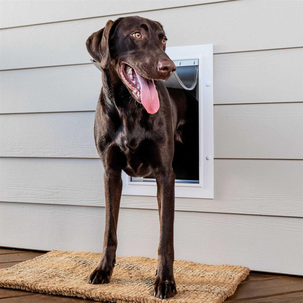 Wall Entry Pet Door S5315