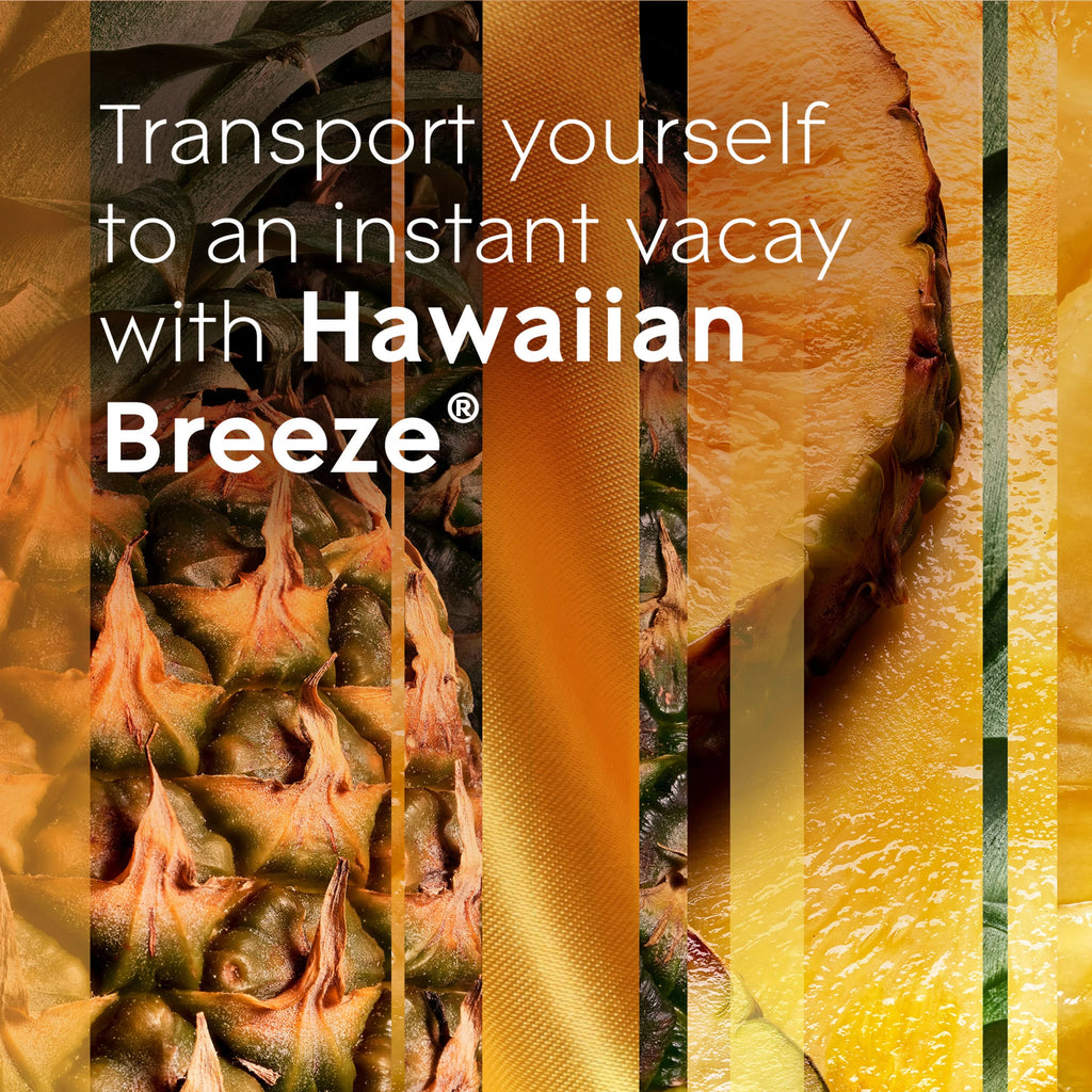Hawaiian Breeze Air Freshener Starter Kit with Holder and Refill O9095