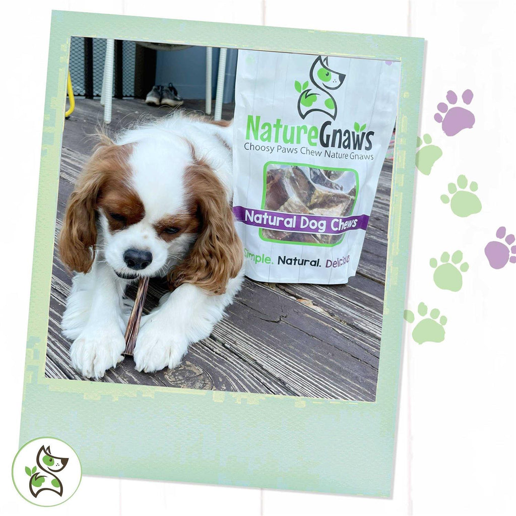 Natural Beef Bully Sticks for Dogs Q47417