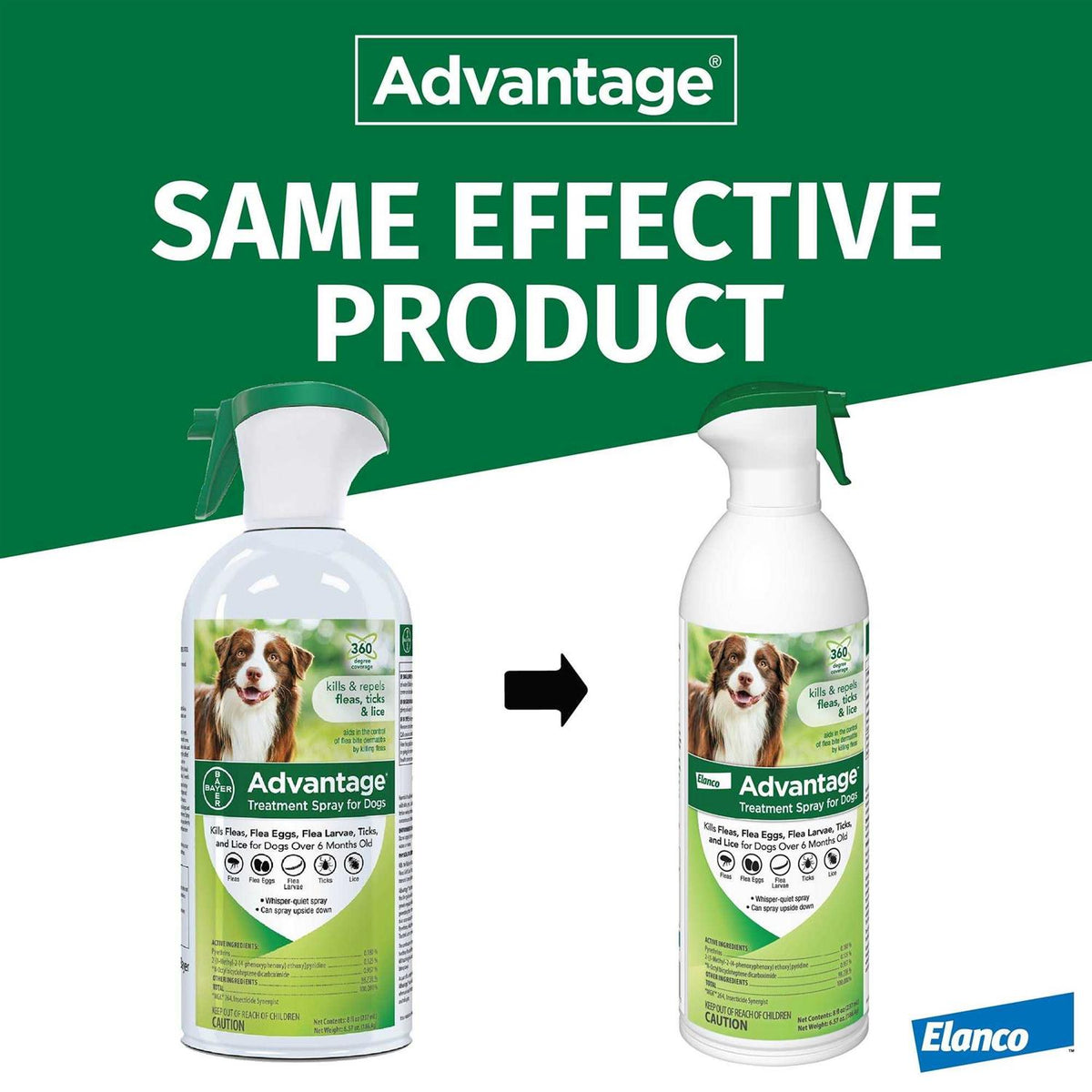 Flea & Tick Treatment Spray for Dogs X5718