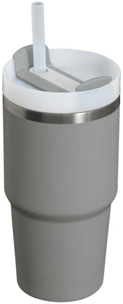 20 oz Stainless Steel Vacuum Insulated Tumbler with Lid and Straw W270