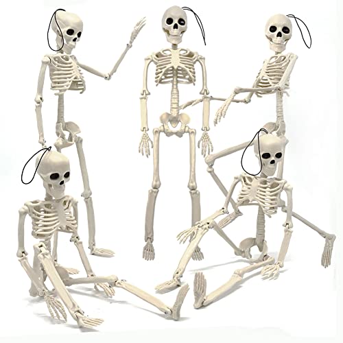 5.9FT Plastic Full Size Human Skeleton with Movable Joints X48046