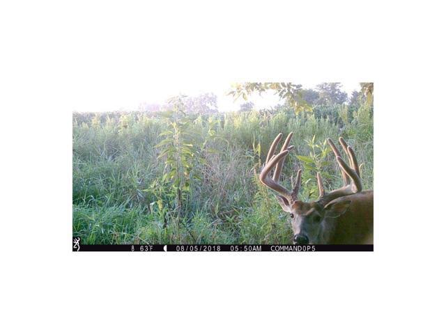 16MP Trail Camera W21951