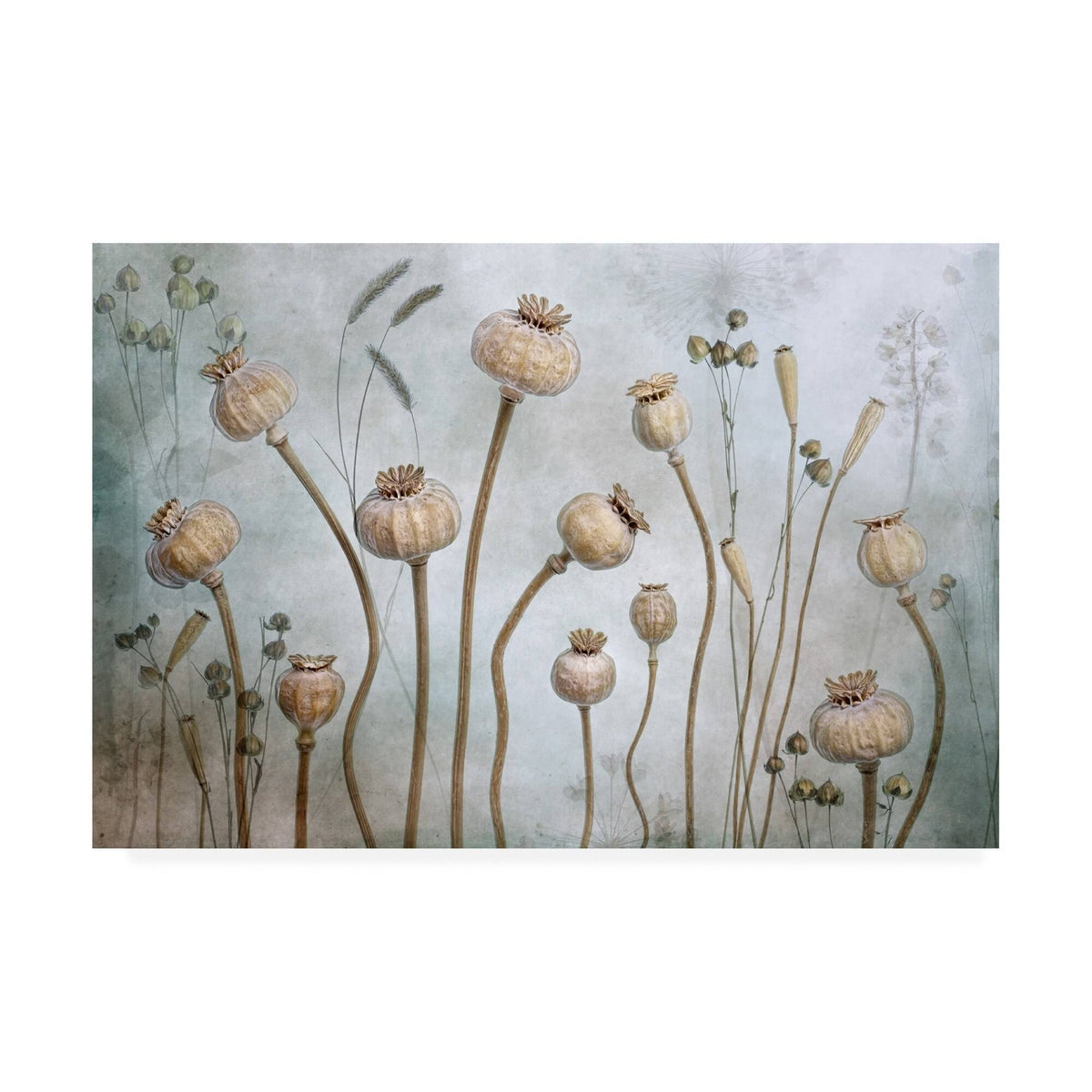 Canvas Art C229672