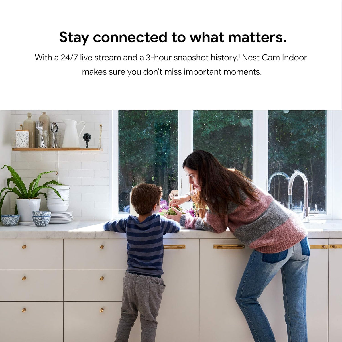 Indoor Security Camera with Night Vision R1749