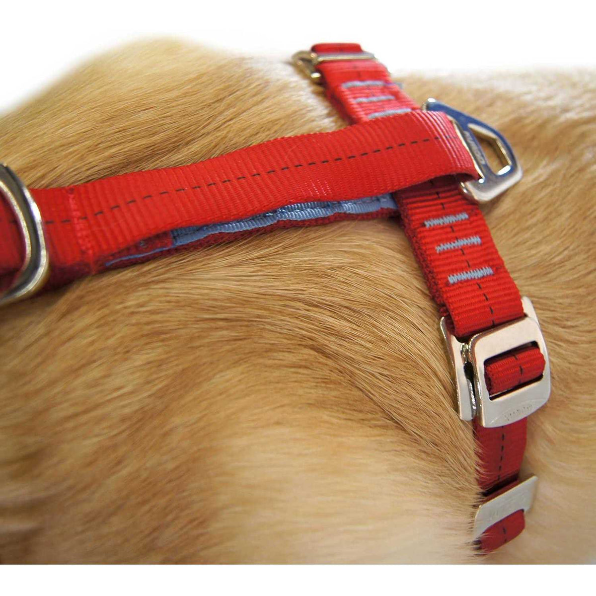 Dog Harness M2417