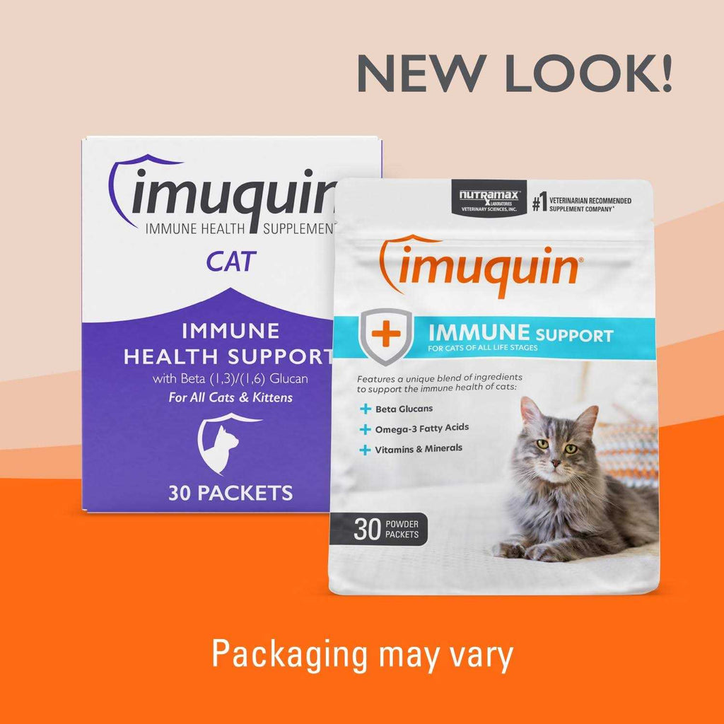 Immune Health Supplement Powder for Cats R7594