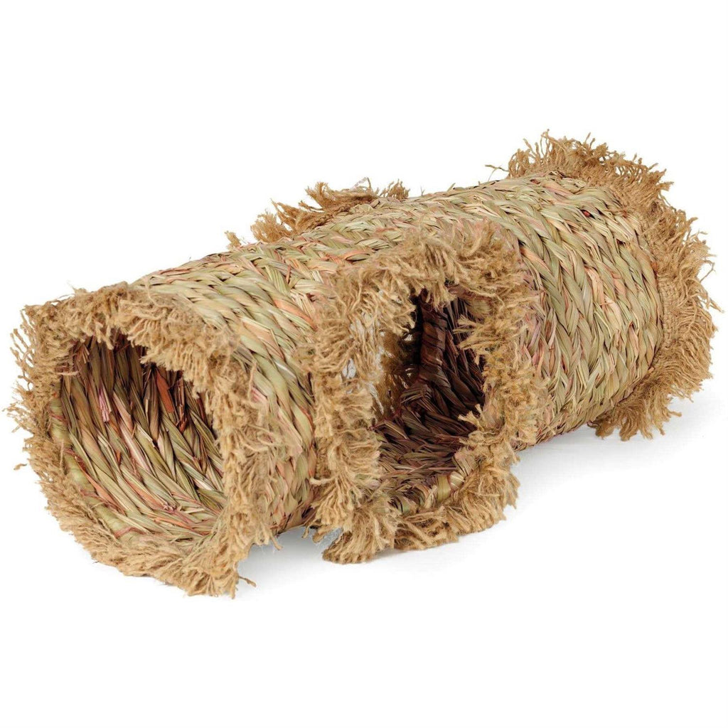 Grass Tunnel N586