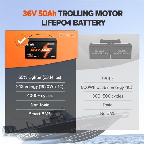 36V 50Ah LiFePO4 Battery with 43.8V 25A Charger Q2764