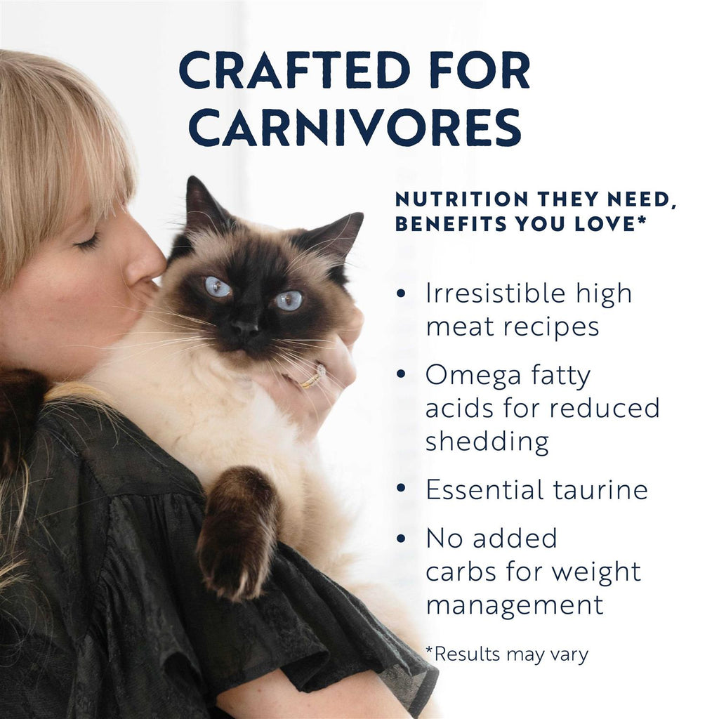 Canned Cat Food Lamb V58738