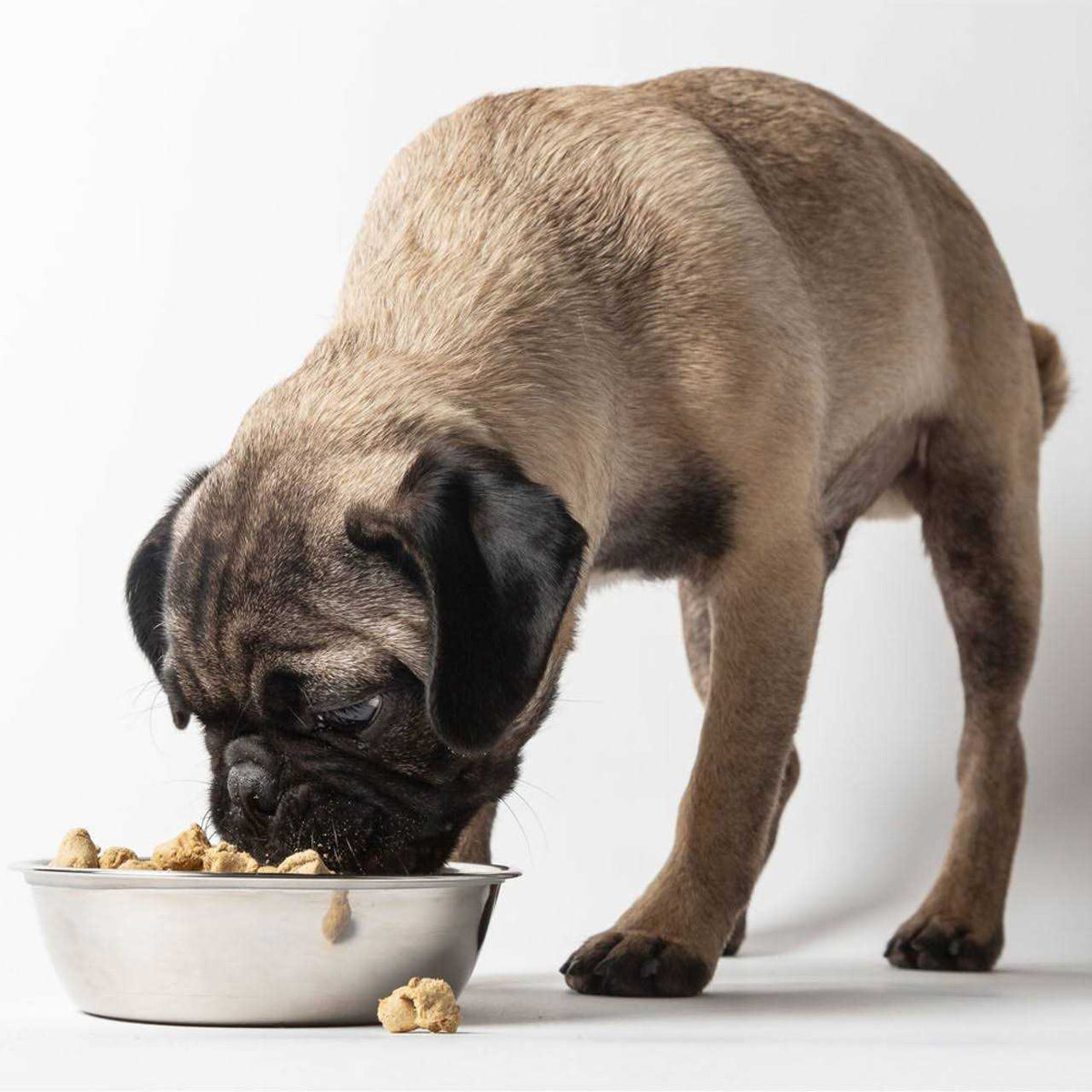 Freeze Dried Raw Dog Food M518138