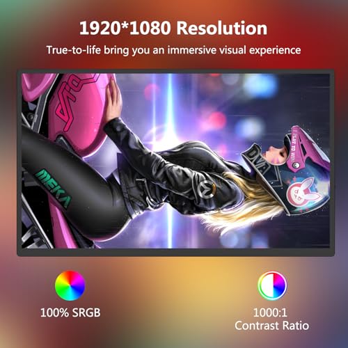 18.5 inch 120Hz 1080P FHD HDR USB HDMI Portable Monitor with Sleeve L4243