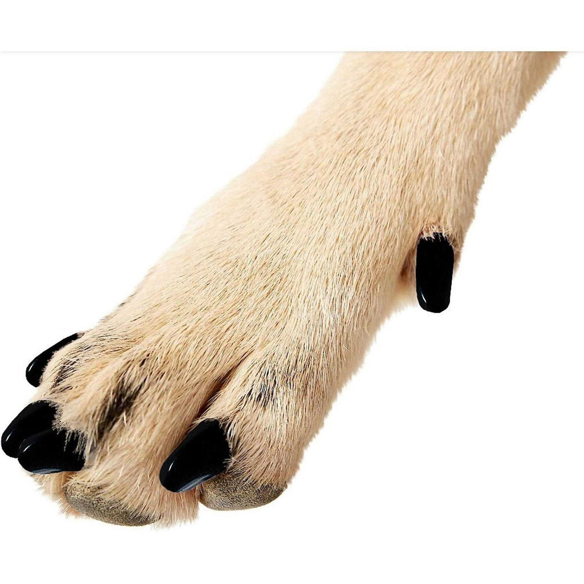 Soft Nail Caps for Dogs Q599