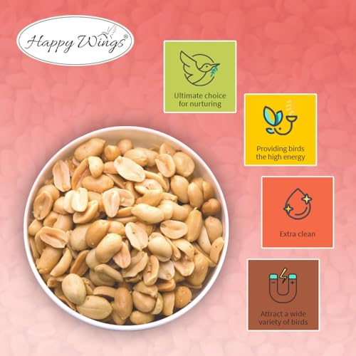 Peanuts Wild Bird Food 5 Pounds G903506